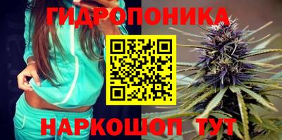 PSILOCYBIN Можга