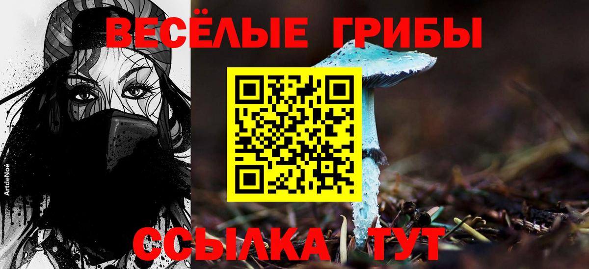 Псилоцибиновые грибы мухоморы Ярцево