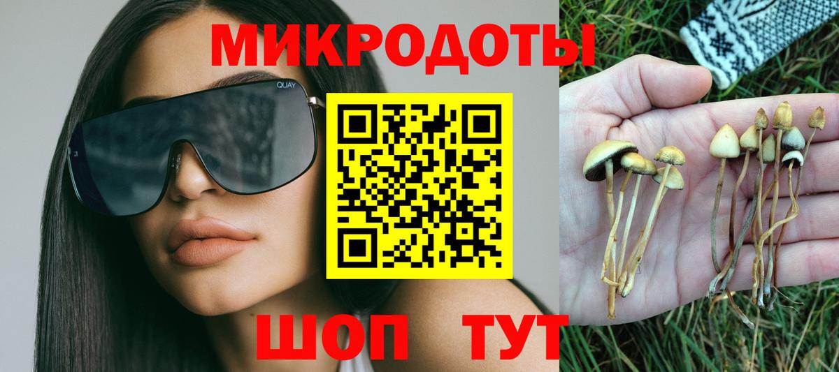 Бошки Шишки Ярцево